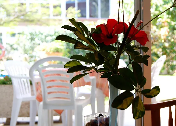Apartamentos Ecuador